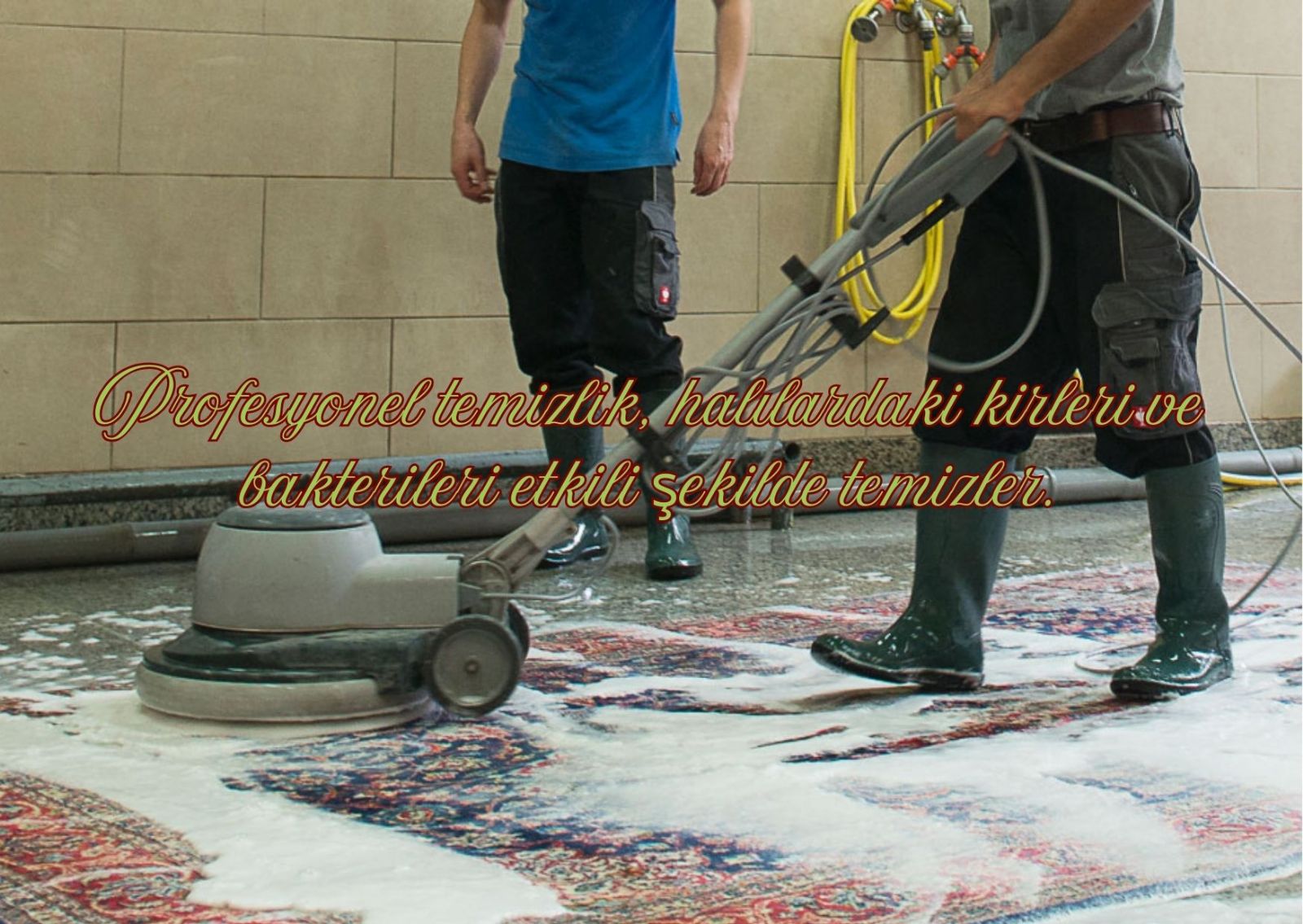 Kocasinan Profesyonel Halı Yıkama